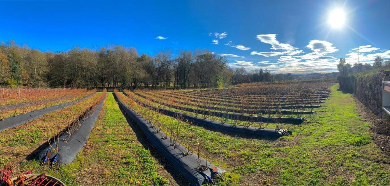Quinta De Requeixo Βίλα Γκιμαράες Εξωτερικό φωτογραφία